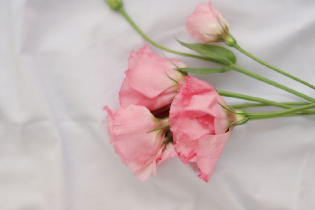 fleurs-bach-menopause